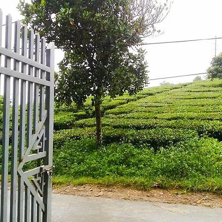 Homestay モクチャウ エクステリア 写真