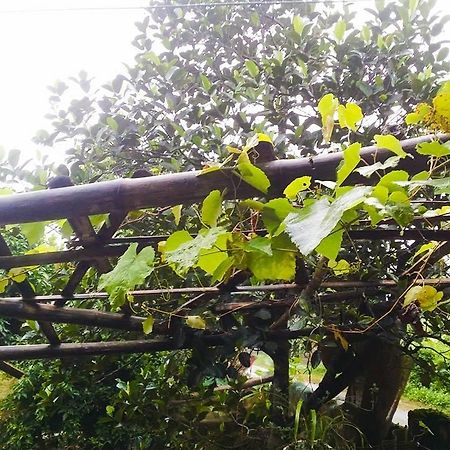 Homestay モクチャウ エクステリア 写真