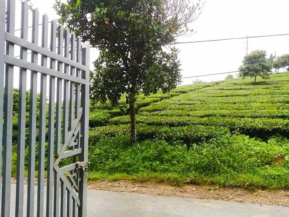 Homestay モクチャウ エクステリア 写真