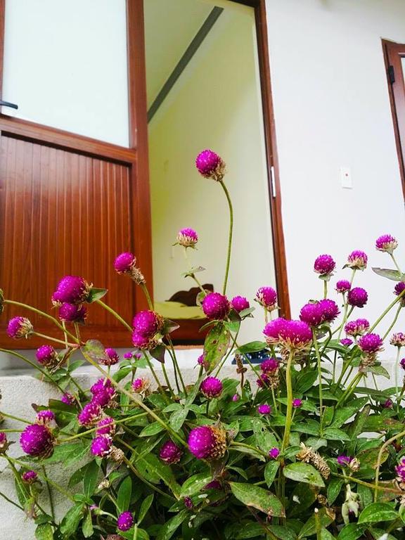 Homestay モクチャウ エクステリア 写真